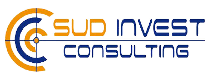 sudinvest-consulting En refonte